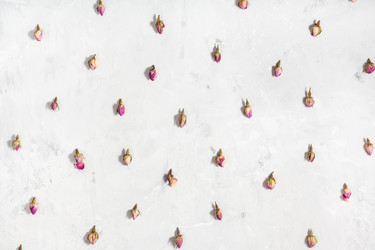 Similar image 11936074