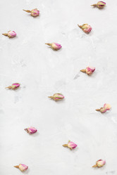 Similar image 11936079