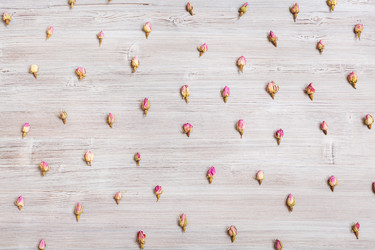 Similar image 11936082