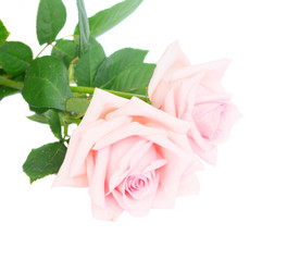 Similar image 11935729