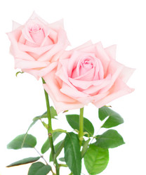 Similar image 11935984