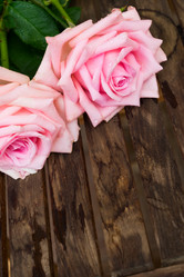 Similar image 11935750