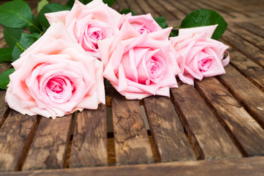 Similar image 11935751