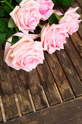 Similar image 11935752