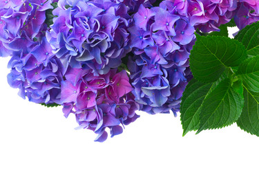 Similar image 11935754