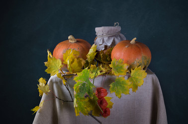 Similar image 11929828