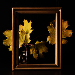 Similar image 11929839