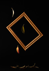 Similar image 11929840