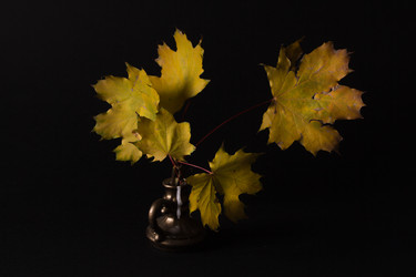 Similar image 11929841