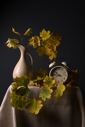 Similar image 11929842