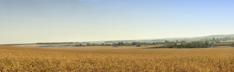 Similar image 11929843