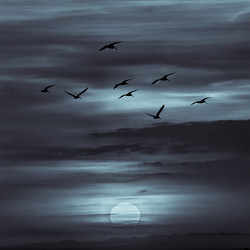 Similar image 11929633