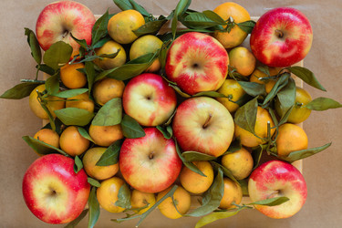 Similar image 11930038