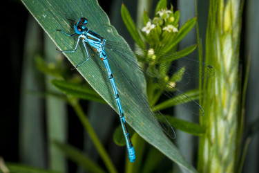 Similar image 11925715