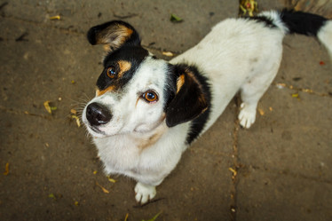 Similar image 11925716