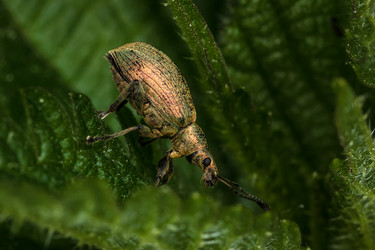 Similar image 11925313