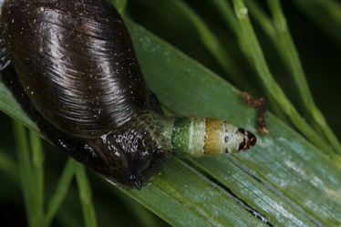 Similar image 11925314