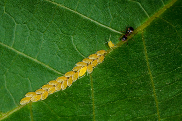 Similar image 11929847