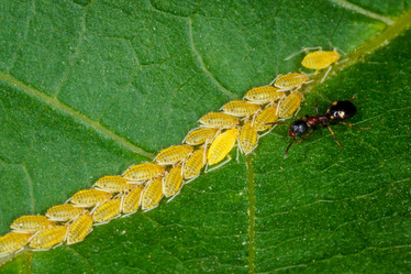 Similar image 11929821