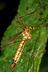 Similar image 11925718