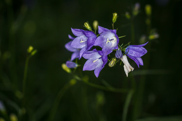 Similar image 11925719