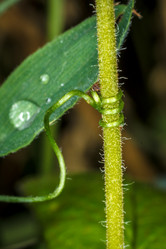 Similar image 11925720