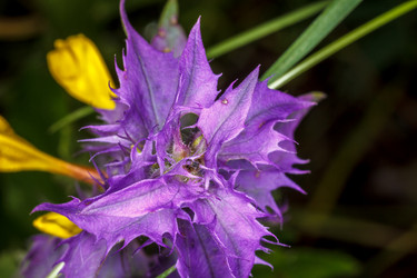 Similar image 11925721