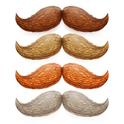 Similar image 11936358