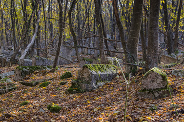 Similar image 11929750