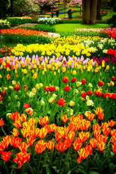 Similar image 11935433