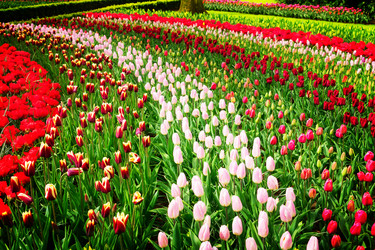 Similar image 11935564