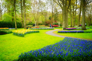 Similar image 11935616