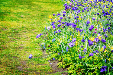 Similar image 11935619