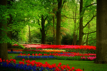 Similar image 11935882