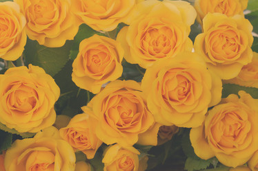 Similar image 11935571