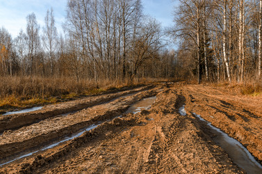 Similar image 11929658