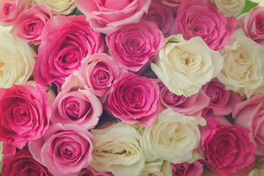 Similar image 11935359