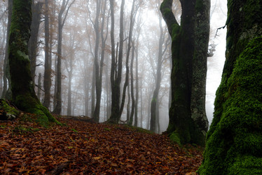 Similar image 11925182