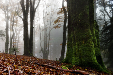 Similar image 11925185