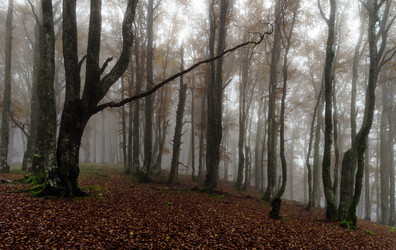 Similar image 11925187