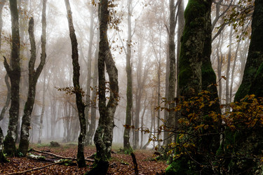 Similar image 11925188