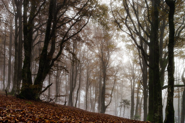 Similar image 11925190