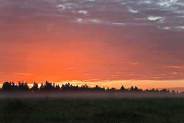 Similar image 11925160