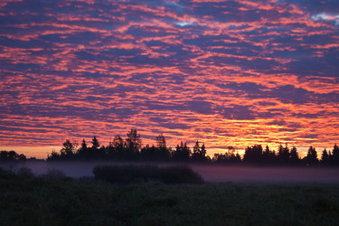 Similar image 11925161