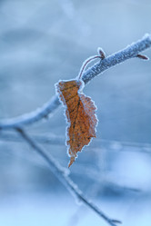 Similar image 11925722