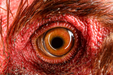 Similar image 11925723