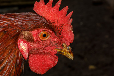 Similar image 11925724