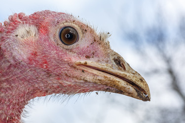 Similar image 11925725