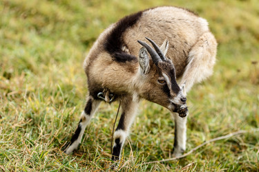 Similar image 11929903