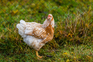 Similar image 11929905